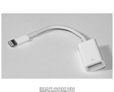 Cổng chuyển đổi đầu USB sang lightning