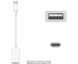 Cổng chuyển đổi đầu USB sang Type C