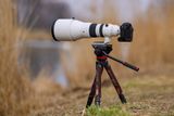 Ống kính Sigma 300-600mm F4 DG OS Sports ngàm L