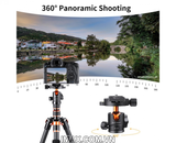 Đầu bi K&F Concept BH-25 (KF31.029V3)