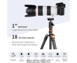 Đầu bi K&F Concept BH-25 (KF31.029V3)