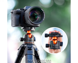 Đầu bi K&F Concept BH-35L (KF31.035)
