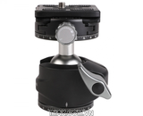 Đầu củ dầu Panhead Coman A30