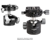 Đầu củ dầu Panhead Coman A30
