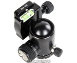 Đầu củ dầu Panhead Coman C1