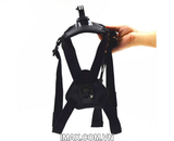 Dây đeo gắn Gopro cho Chó