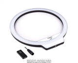 Đèn Led Ring Yongnuo YN-308, 308 bóng led