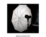 Dù xuyên bán kính 43cm