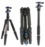 Chân máy ảnh BENRO FIF19CIB0, Carbon