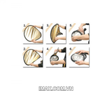 Hắt sáng 5 in 1 tròn đường kính 60cm