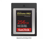 Thẻ nhớ CFexpress Type B card Sandisk Extreme Pro 256GB 1700/1200MB/s