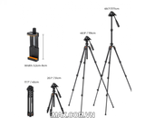 Chân máy ảnh K&F Concept K234A0+Video Head+Mobile Phone Clip - KF09.115