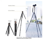 Chân máy ảnh K&F Concept Compact Travel Tripod M1+BH-36L - KF09.105V1
