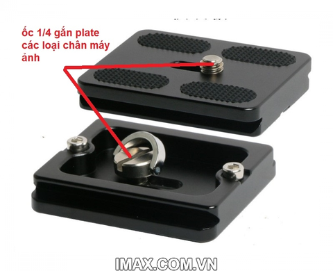 Ốc 1/4 gắn Plate (thớt) máy ảnh