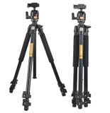 Chân máy ảnh Tripod Beike Q-301