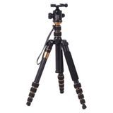 Chân máy ảnh TRIPOD BEIKE Q-666C
