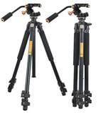 Chân máy ảnh Beike Q899 Video, Hàng chính hãng