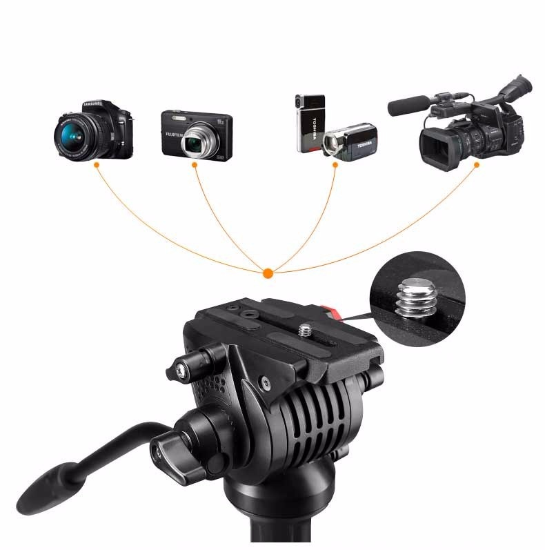 https://product.hstatic.net/200000863343/product/s-13457-45942c36965d9af2951d5a5b9da69f5d_569997f9d0294d21b5754d91c5ed6132.jpg