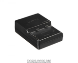 Sạc dây BTC10 cho Pin PANASONIC DMW-BLF19