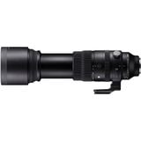 Ống kính Sigma 150-600mm F5-6.3 DG DN OS Sports ngàm L