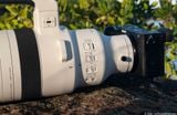 Ống kính Sigma 300-600mm F4 DG OS Sports ngàm L