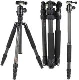 Chân máy ảnh Coman TM286CC1, Carbon