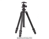 Tripod/ Chân máy ảnh Gizomos GP-26C4, Chân Carbon
