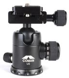 Đầu củ dầu Panhead Coman U0