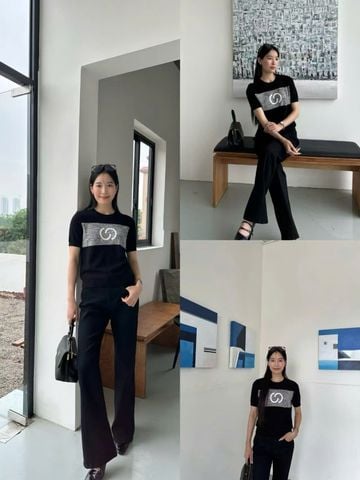  15.Áo ngắn tay đen -logo xám to ngực 