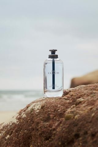 Nước hoa nam Coach Open Road EDT 100ml