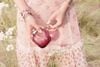 Nước hoa nữ Coach Wild Rose EDP 90ml
