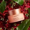Kem Dưỡng Ban Đêm Clarins Giúp Nâng Cơ & Chống Lão Hóa Dành Cho Da Khô 50ml Extra-Firming Nuit Wrinkle Control, Regenerating Night Silky Cream