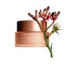 Kem Dưỡng Ban Ngày Clarins Hỗ Trợ Nâng Cơ, Chống Lão Hóa Dành Cho Da Khô 50ml Extra-Firming Jour Wrinkle Control, Firming Day Comfort Cream [HSD 20/04/2026]
