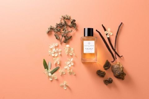 Nước hoa unisex Essential Parfums Divine Vanille EDP 100ml