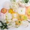Nước hoa nữ Lanvin Les Fleurs Sunny Magnolia EDT 90ml