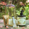 Kem Dưỡng Da Tay Panier Des Sens Hương Hoa Hồng Phong Lữ 75ml Rose Geranium Absolute Floral Elixir Hand Cream