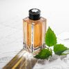 Nước hoa unisex Montblanc Patchouli Ink Dark Woods EDP 125ml