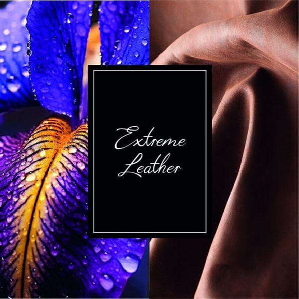 Nước hoa unisex Montblanc Extreme Leather Smoked Iris EDP 125ml