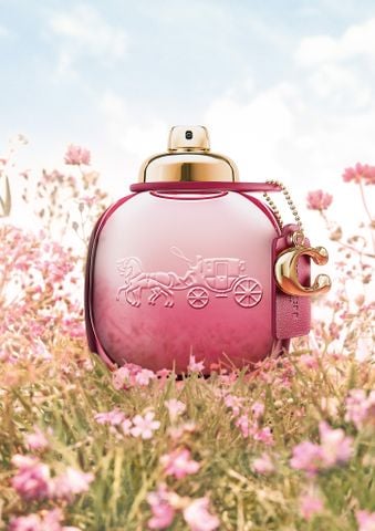 Nước hoa nữ Coach Wild Rose EDP