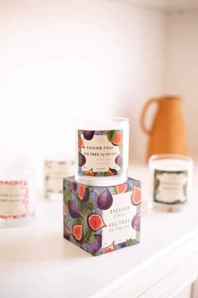 Nến Thơm Panier Des Sens Hương Sung Biển 275g Home Fig Tree By The Sea