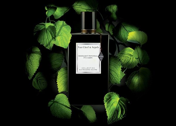 Bộ Nước Hoa Unisex Van Cleef & Arpels Ambre Impérial+Moonlight Patchouli+Moonlight Rose EDP 3X45ml