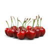 Quả Anh Đào (Cherry) Đỏ NORDIC (CERASINA) Mỹ s8.5 (2.5kg)