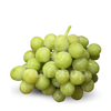 Nho xanh Autumn (Exsa)- Nam Phi (4.5kg)