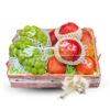 Khay trái cây nhập khẩu 04