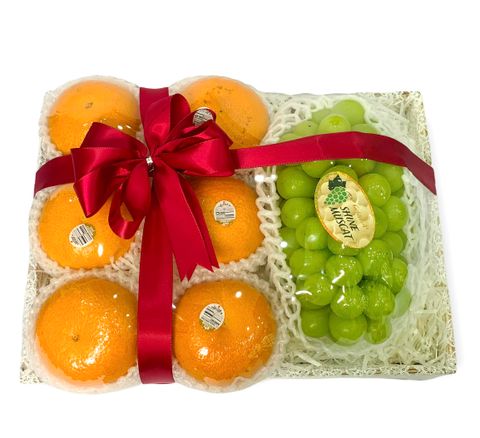 Khay trái cây nhập khẩu 08