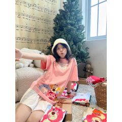 Áo thun FIDE phông trơn nam nữ cổ tròn FIDE GẤU LOTSO 13