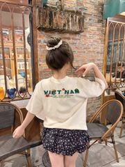Áo thun FIDE Việt Nam phông unisex form rộng local brand nam nữ cổ tròn oversize - AT168