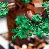  Lego Creator Cây Bonsai 10281 