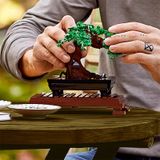  Lego Creator Cây Bonsai 10281 