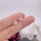  Hoa Tai sakura 